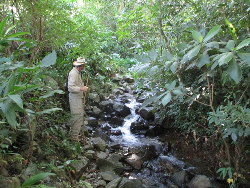 A small creek near Boquete, Chiriqu Province, Panama