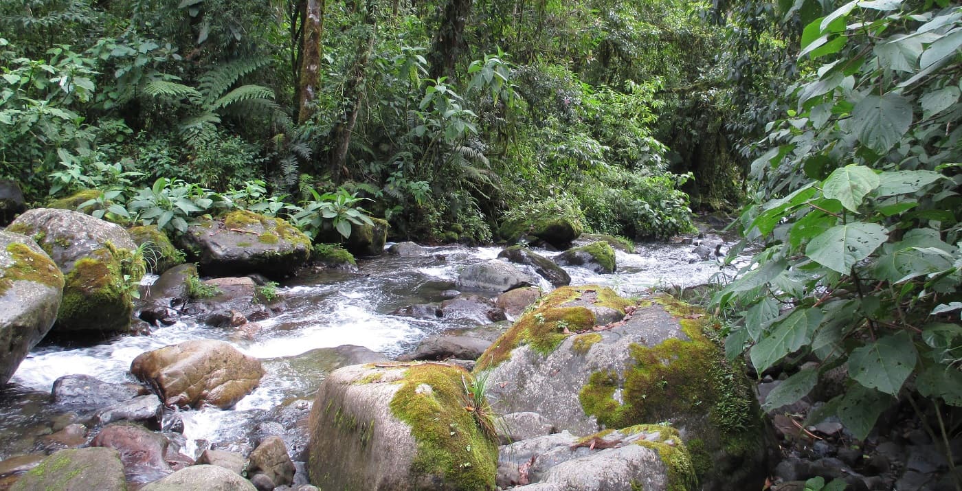 Photo from our hike up the Quetzal Trail
