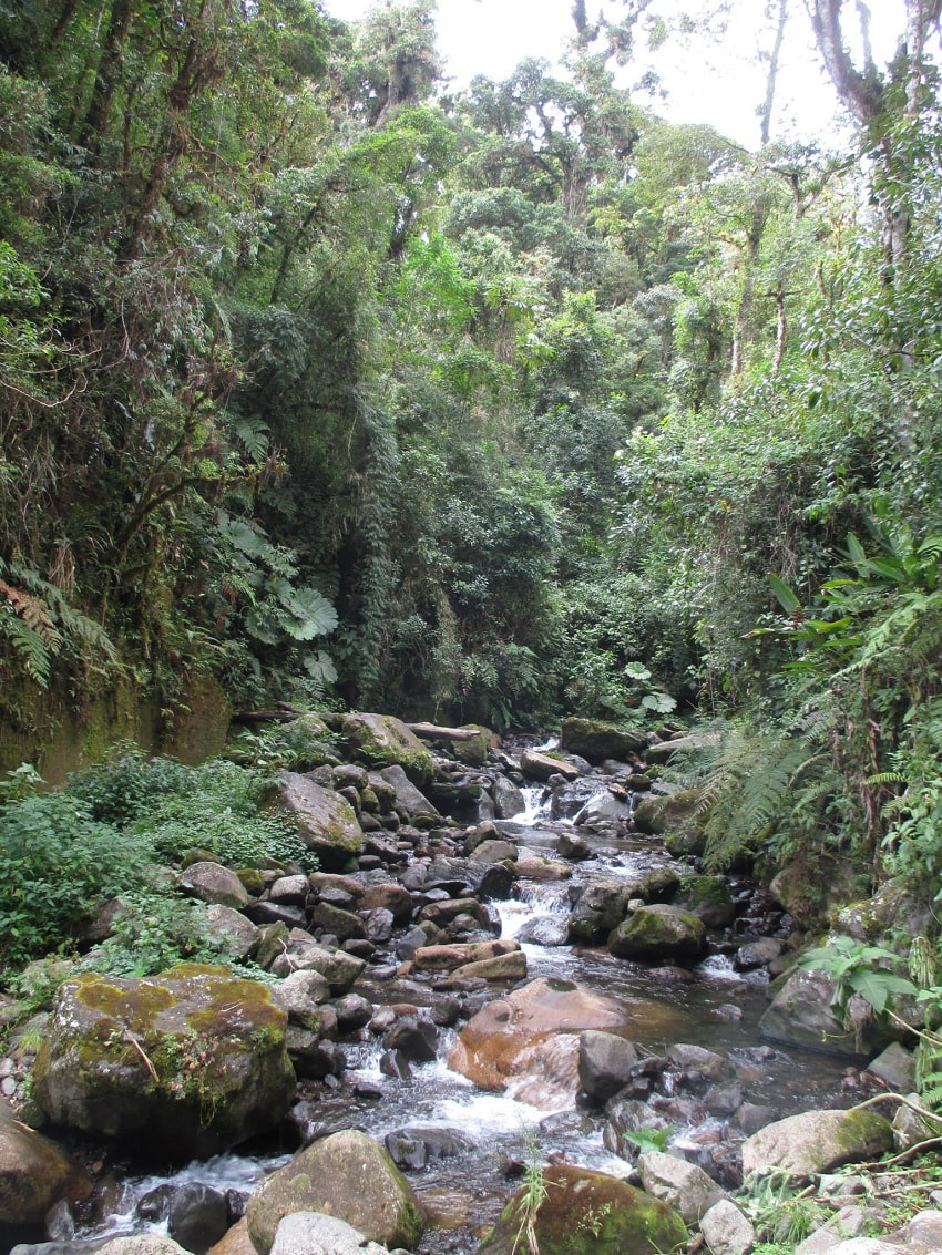 Photo from our hike up the Quetzal Trail