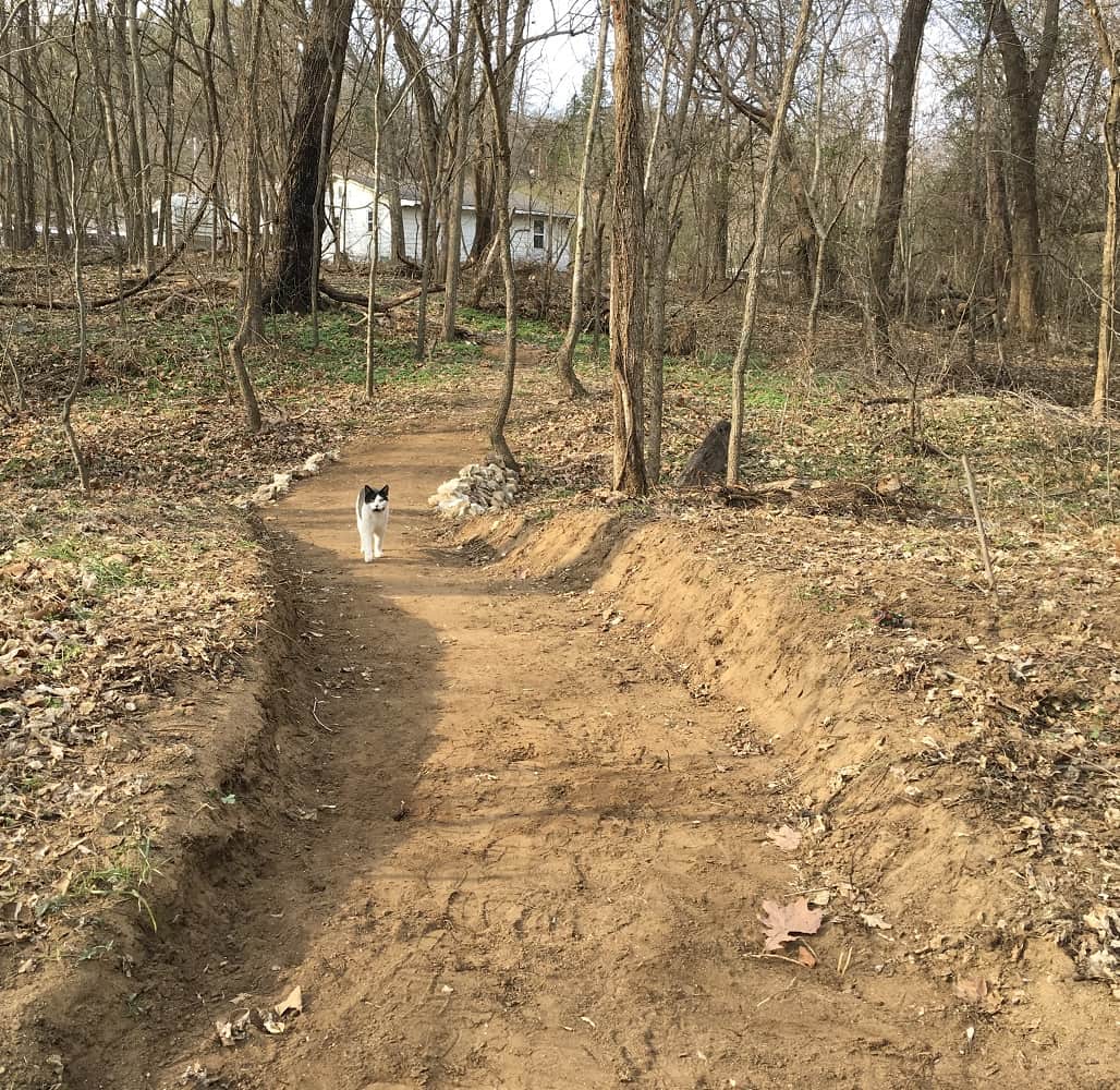 Trail to the creek