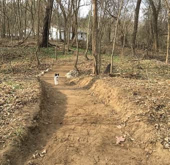 A little road down to the creek